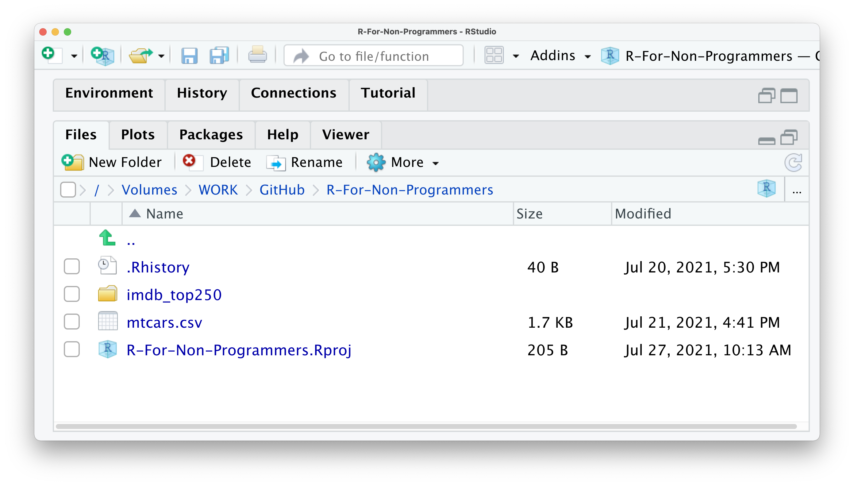 Screenshot of the Files tab in RStudio, showing examples of files in a directory usually located on your computer.