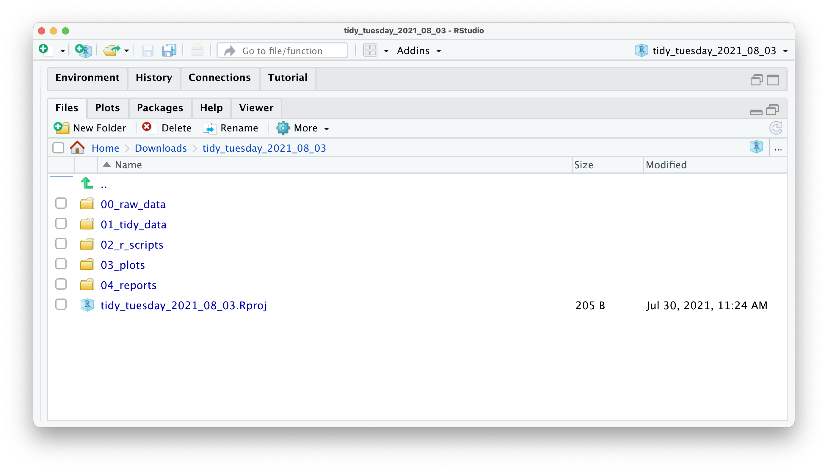 Screenshot of a file structure for a project using R and the r4np package to create such file structure.