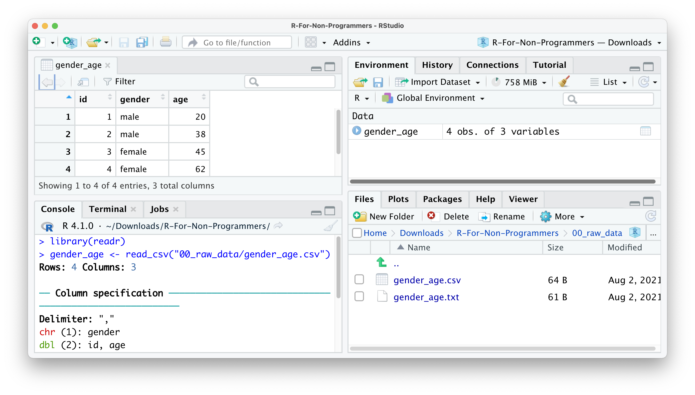 A screenshot of all four panes of RStudio, showing the object 'gender_age' in the Environment pane, which represents the imported data. The console shows code that was executed to import the dataset.